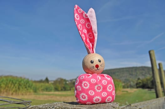 the Easter Bunny is coming soon...