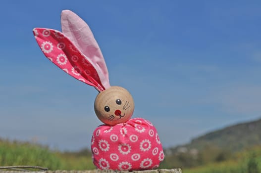 a bunny