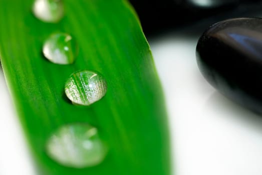 Water Drops 02