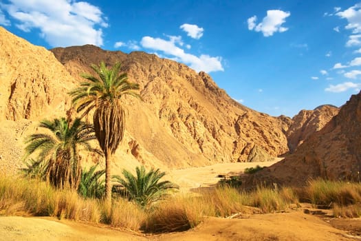 Wadi Qnai
