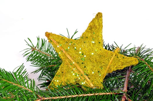 Star Branch Christmas