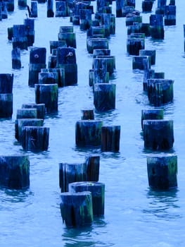 Wooden posts in the Hudson River