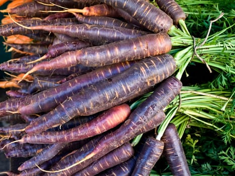 Carrots