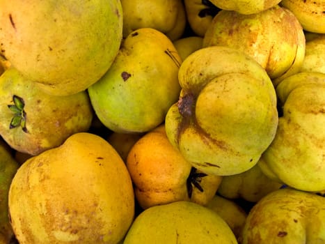Quince