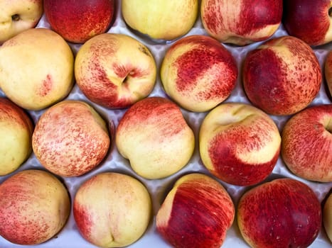 Nectarine