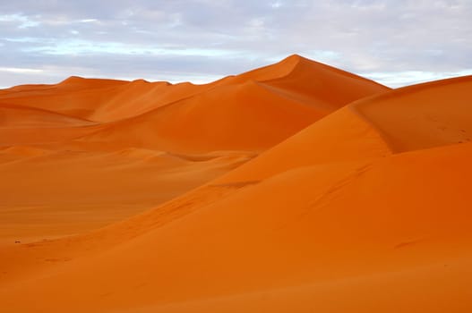 Sand dunes in the Sahara in the evening light