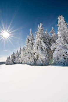Winter200923