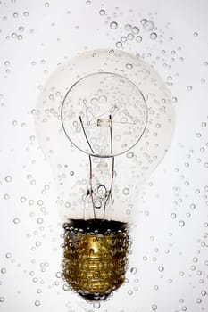 Bulb 1