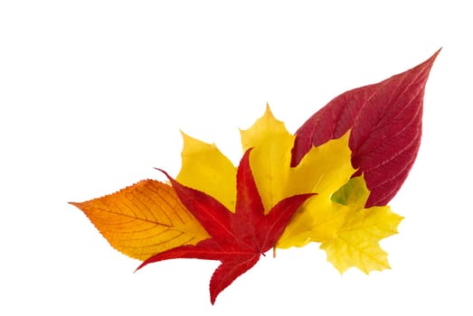 Decoration of autumn leaves