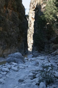 Samaria