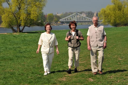 At the Elbe meadow