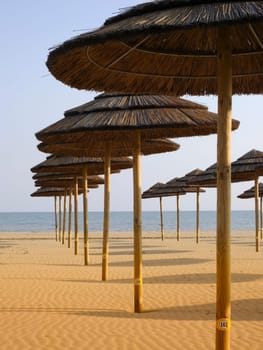Straw Umbrella 11