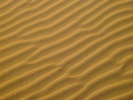 Beach Dunes 01