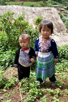 Children of Asia,Meo Ethnic Group,Hmong