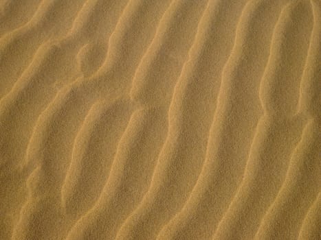 Beach Dunes 02