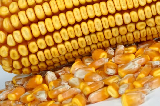 corncob detail