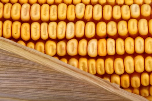 corncob detail