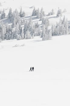 Winter Sports15