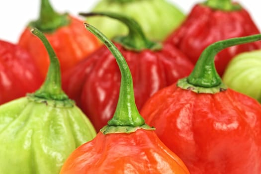 chilly pepper background