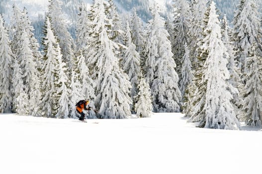 Winter Sports14