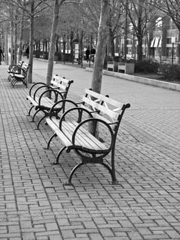 Empty benches in a park