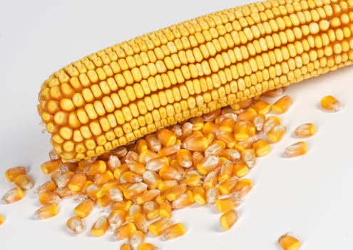 corncob detail