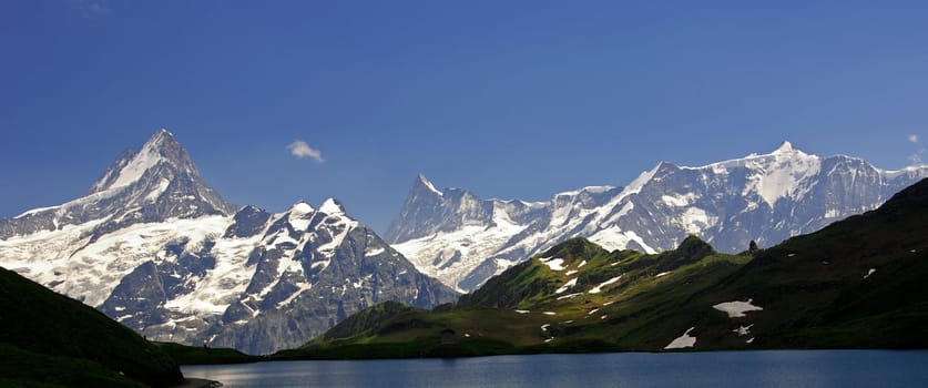 Swiss Alpine panorama