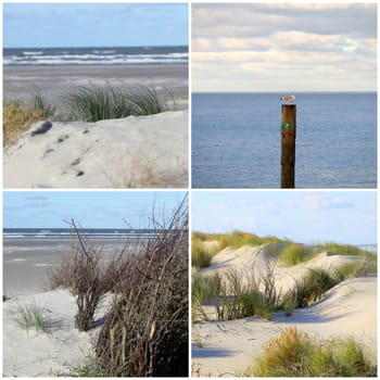 Collage with four photos of the beach,sea and dunes