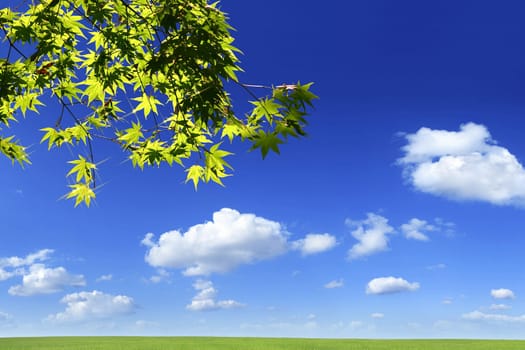 Nature background