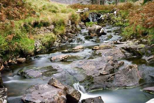 Irish nature