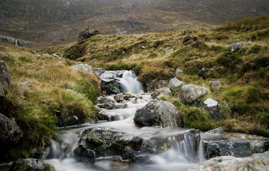 Irish nature