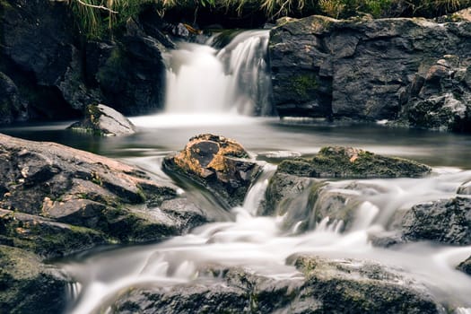 Irish nature