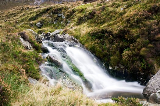 Irish nature
