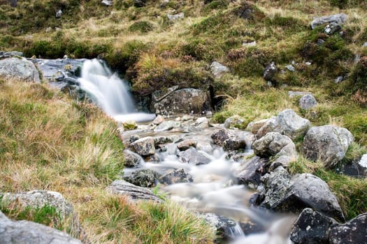 Irish nature