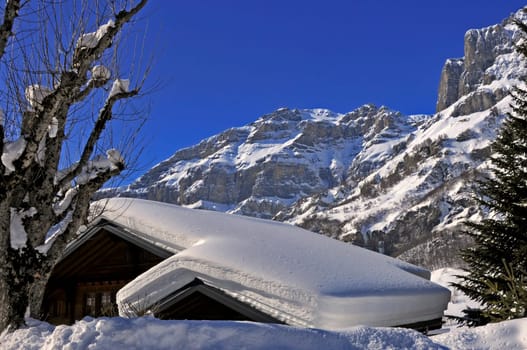 Fresh snow