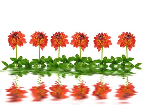 Reflection