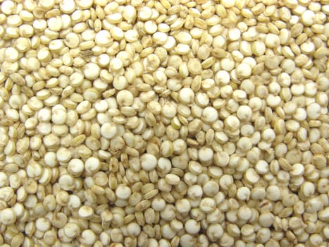 Quinoa as a wallpaper