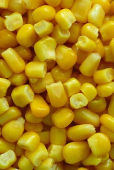Corn 03
