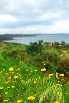 Atlantic coastline in Brittany, France