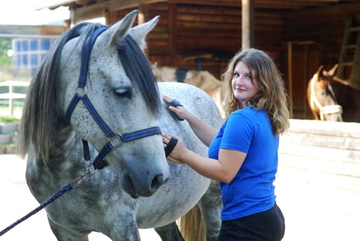 Horse Care