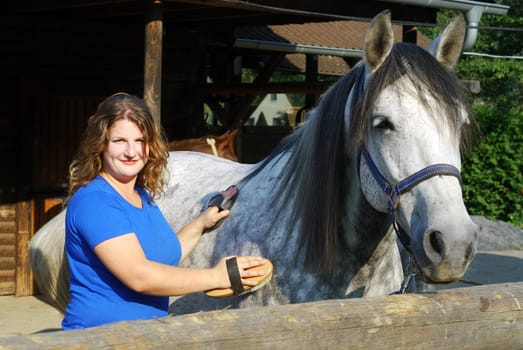 Horse Care