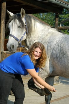 Horse Care