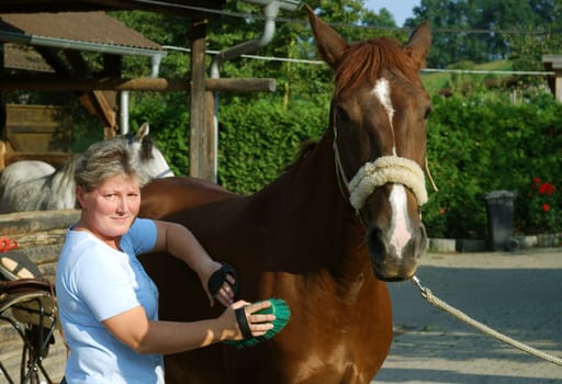 Horse Care
