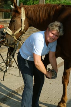 Horse Care