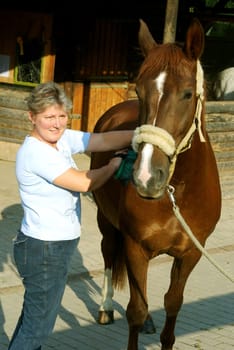 Horse Care