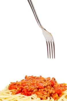 Spaghetti