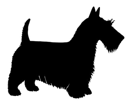 Black silhouette of a Scottish Terrier