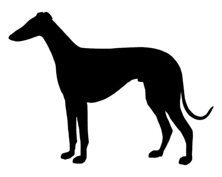 The black silhouette of a greyhound