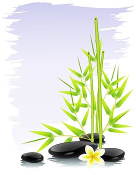 Zen composition
