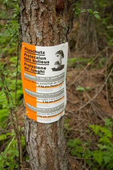 Mushroom protection